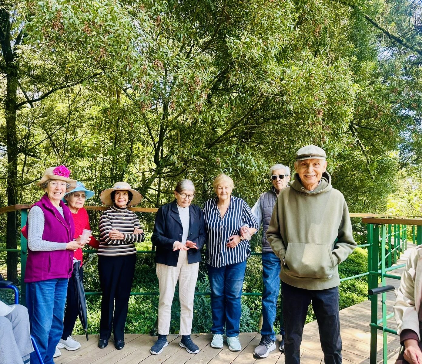 Actividades y bienestar Vital Brain